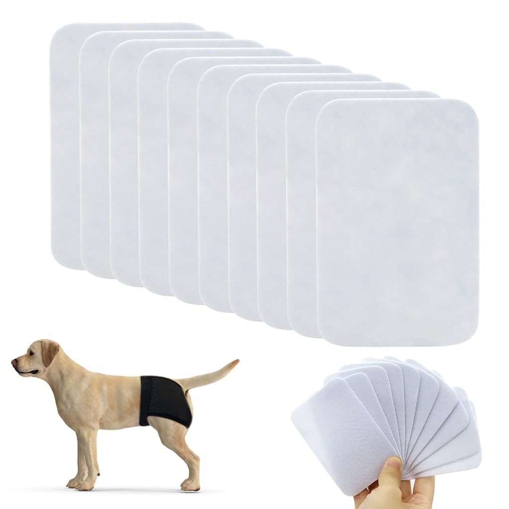 Qpets Pet Use Breathable Reusable Dogs Diapers Female with 6 Absorbption Cotton Pad Comfort Reusable Doggy Diapers for Female Dog, Puppy(L, Recommended Waist 15.7''-19.2'') Qpets Pet Use Breathable Reusable Dogs Diapers Female with 6 Absorbption Cotton Pad Comfort Reusable Doggy Diapers for Female Dog, Puppy(L, Recommended Waist 15.7''-19.2'')